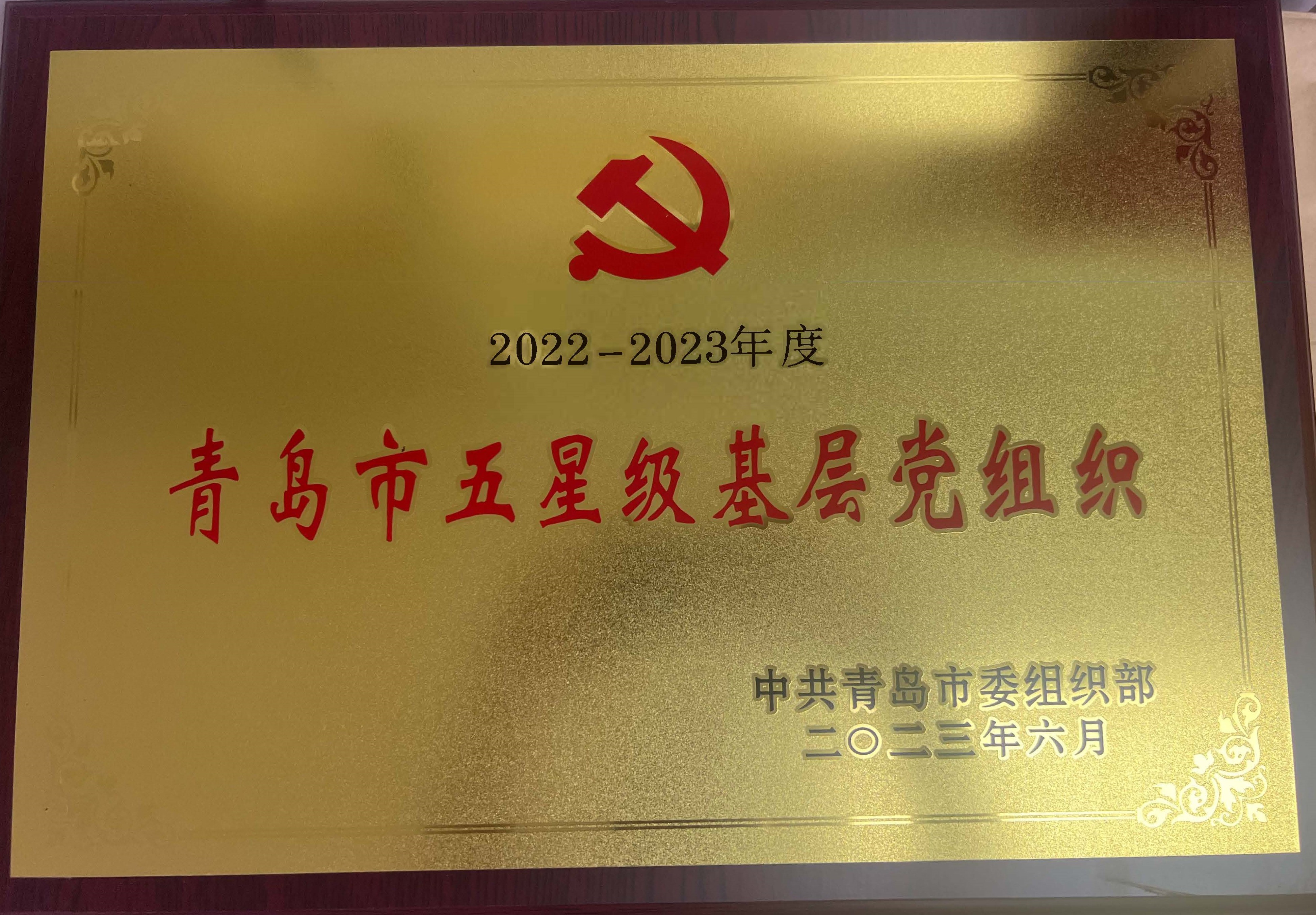 2023年度五星級(jí)黨組織證書(1)_頁面_2.jpg